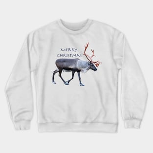 Santa Claus Reindeer Crewneck Sweatshirt